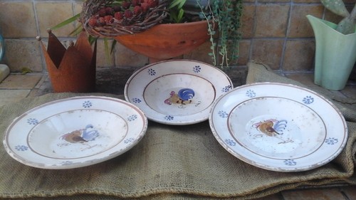 Piatti terracotta rustici - piatti,